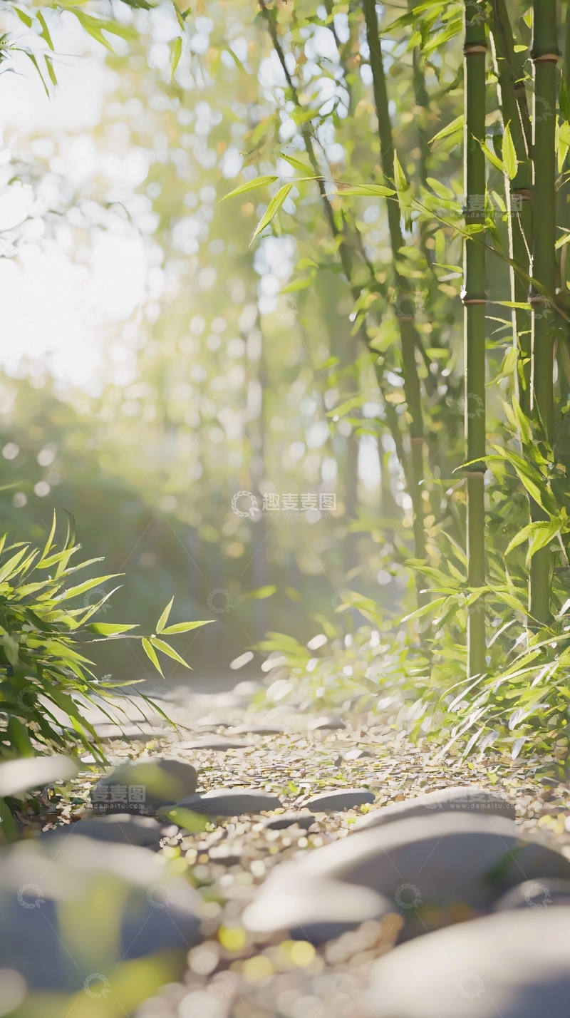 高清大图下载【趣麦麦图】阳光洒进竹林小径
