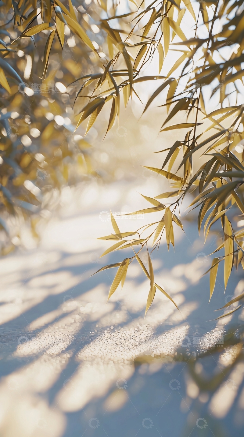 高清大图下载【趣麦麦图】阳光洒在竹林小径