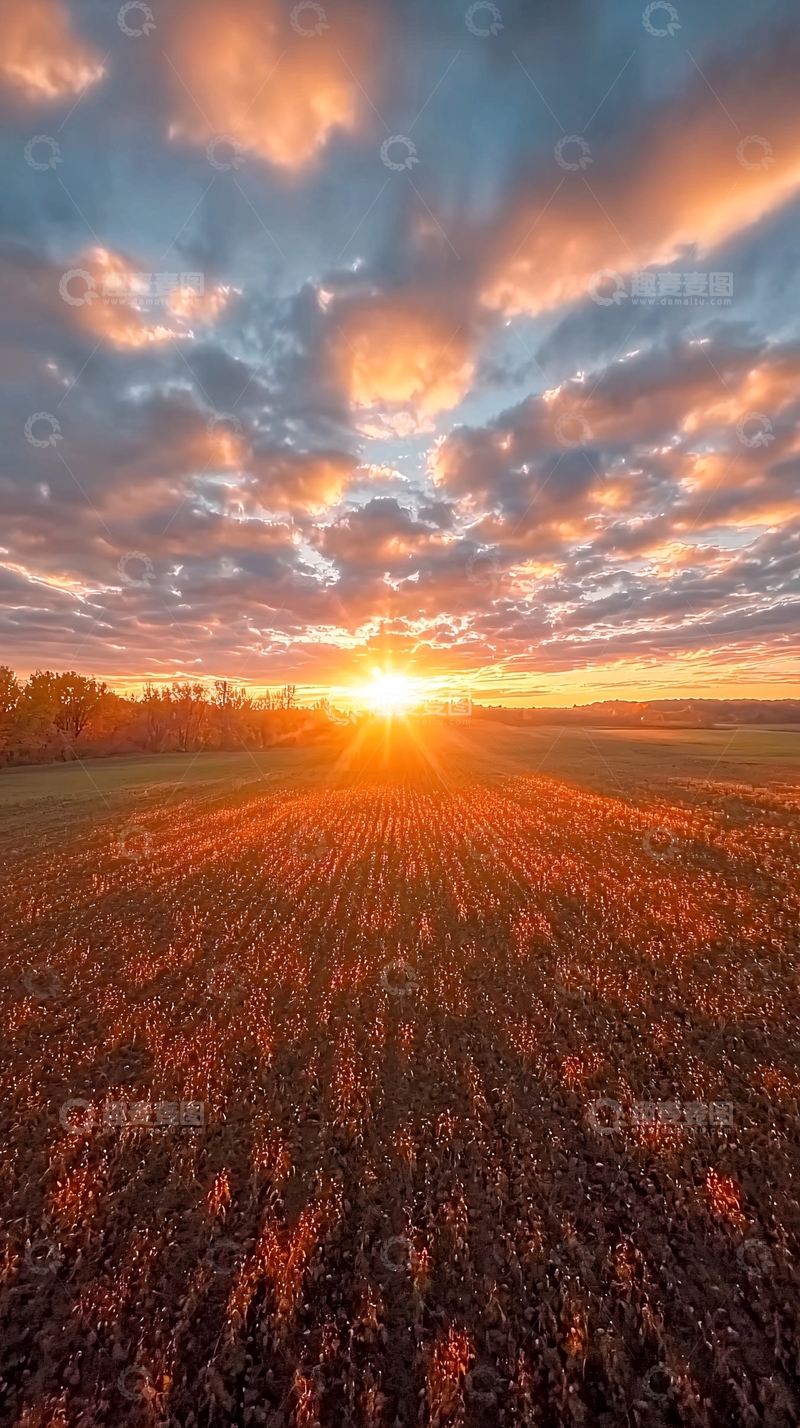 高清大图下载【趣麦麦图】日出田野