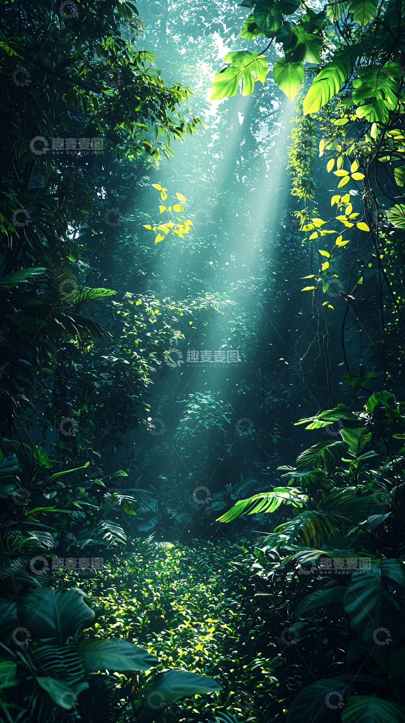 高清大图下载【趣麦麦图】森林阳光穿透