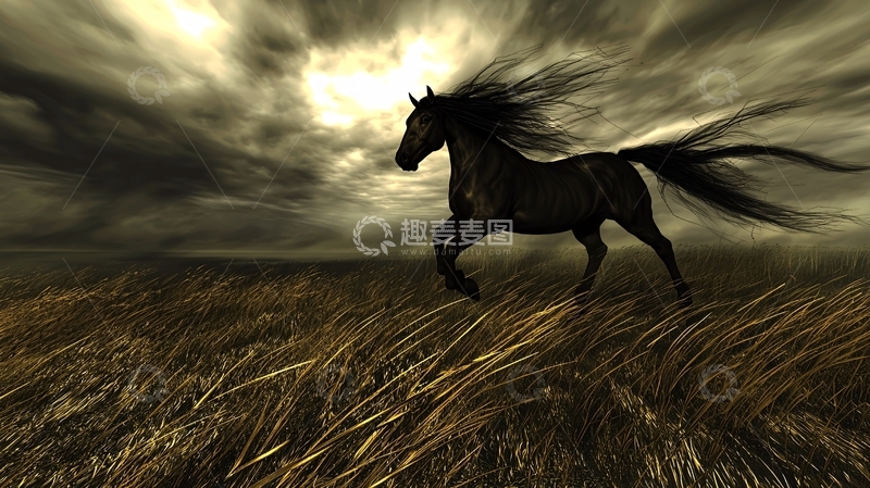 高清大图下载【趣麦麦图】黑马奔腾在暴风雨前的麦田