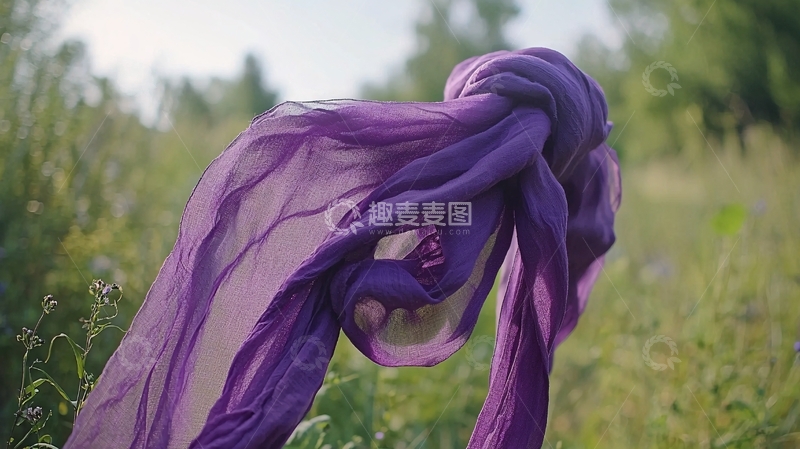 高清大图下载【趣麦麦图】紫色薄纱