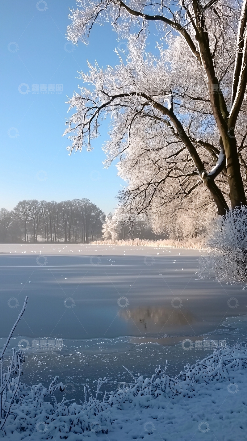 高清大图下载【趣麦麦图】冰冻湖面冬季树木