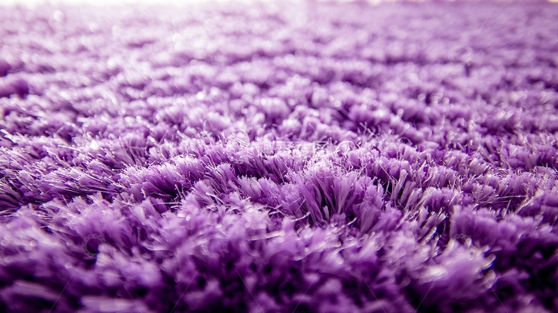 高清大图下载【趣麦麦图】紫色毛绒地毯特写