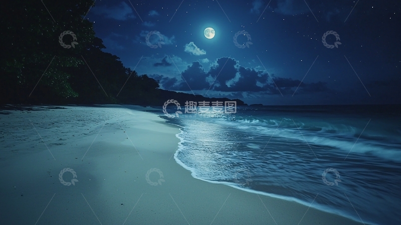 高清大图下载【趣麦麦图】月光下的海滩