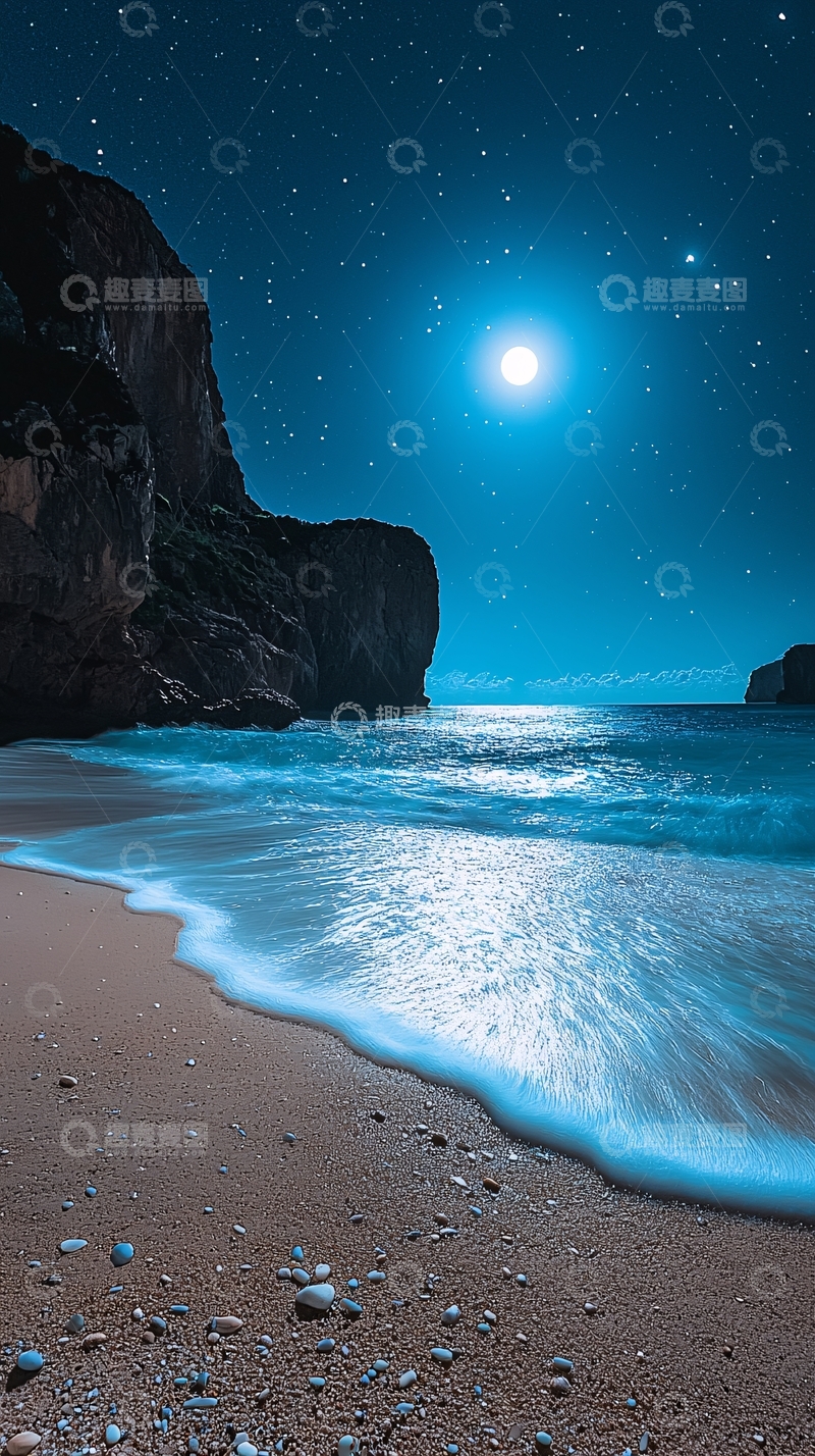 高清大图下载【趣麦麦图】月夜海滩