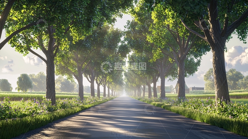 高清大图下载【趣麦麦图】阳光洒在林荫道上