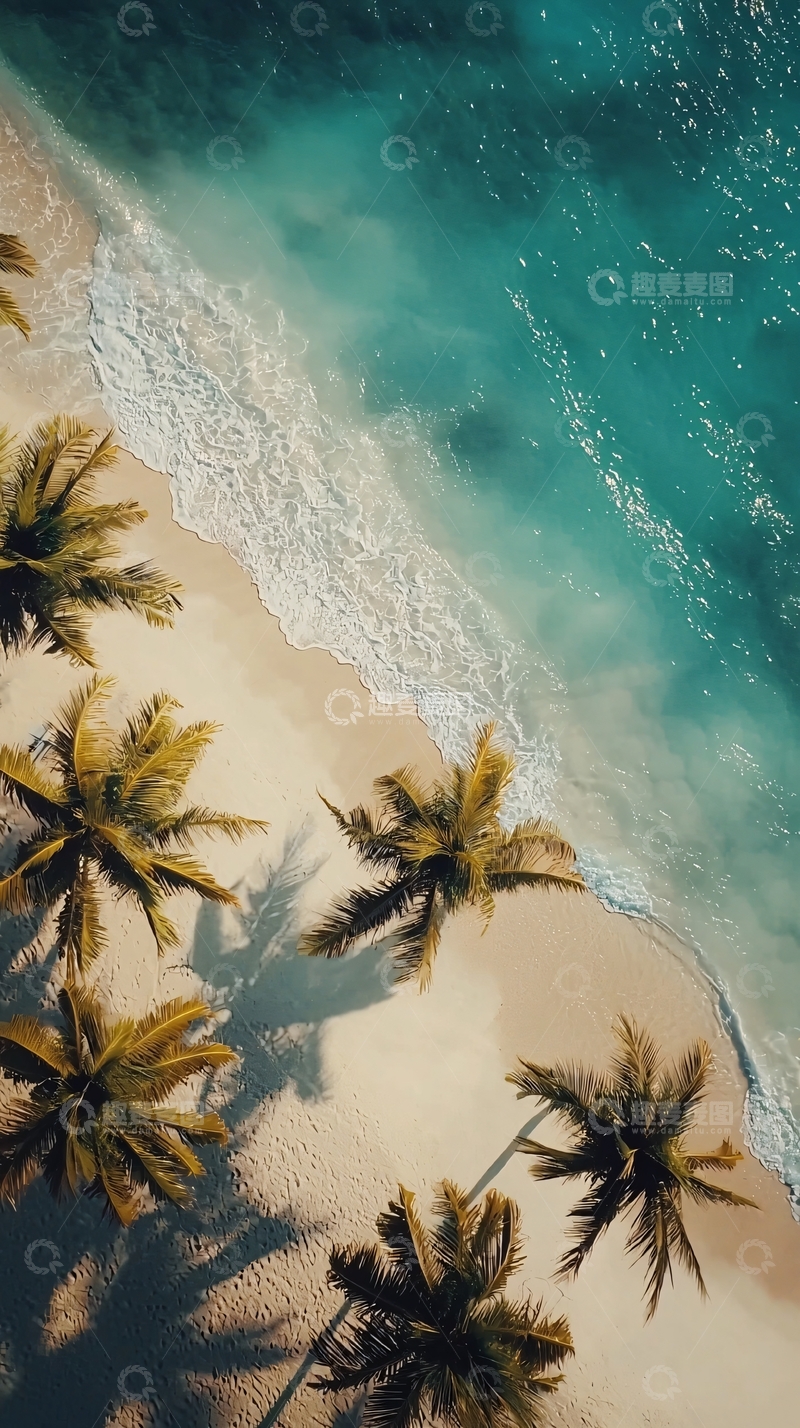 高清大图下载【趣麦麦图】海滩椰林俯瞰图