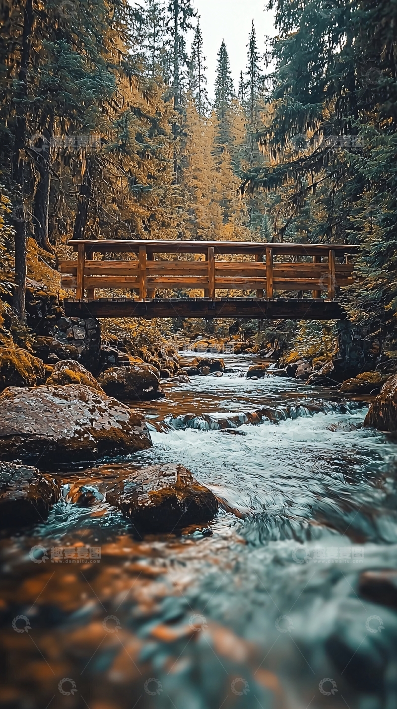 高清大图下载【趣麦麦图】秋日森林小溪木桥