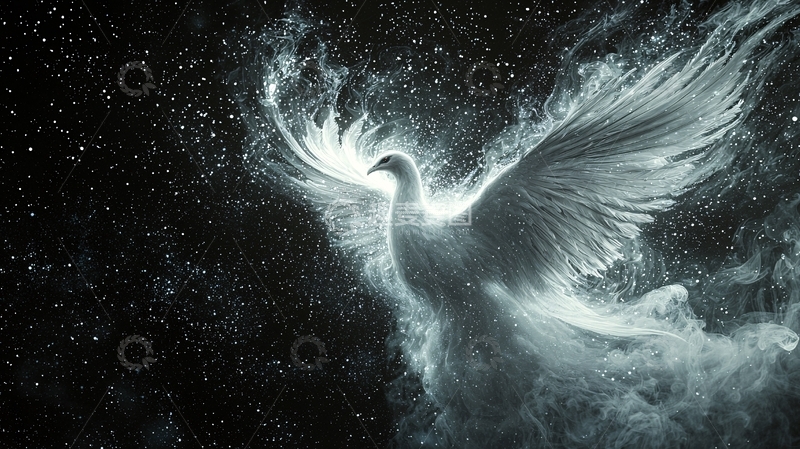 高清大图下载【趣麦麦图】光芒四射的星空背景中的白鸽