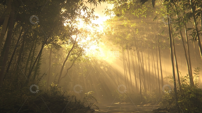 高清大图下载【趣麦麦图】清晨竹林阳光雾气