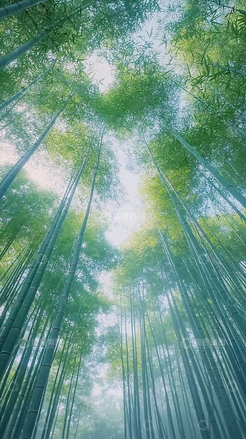 高清大图下载【趣麦麦图】竹林