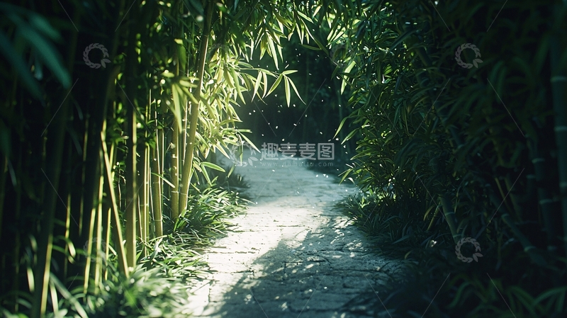 高清大图下载【趣麦麦图】竹林小径