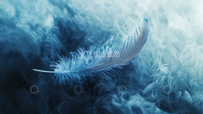 高清大图下载【趣麦麦图】蓝色羽毛