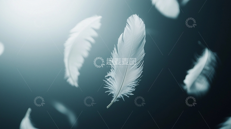 高清大图下载【趣麦麦图】轻盈飘逸的白色羽毛