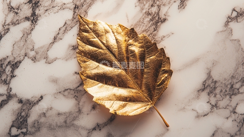 高清大图下载【趣麦麦图】大理石背景金箔树叶