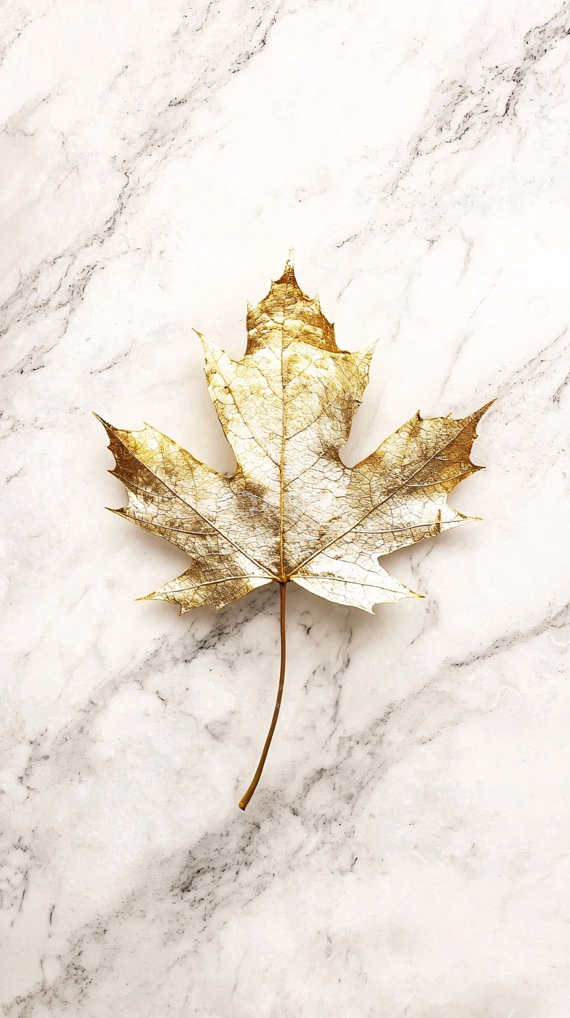 高清大图下载【趣麦麦图】金色枫叶大理石背景