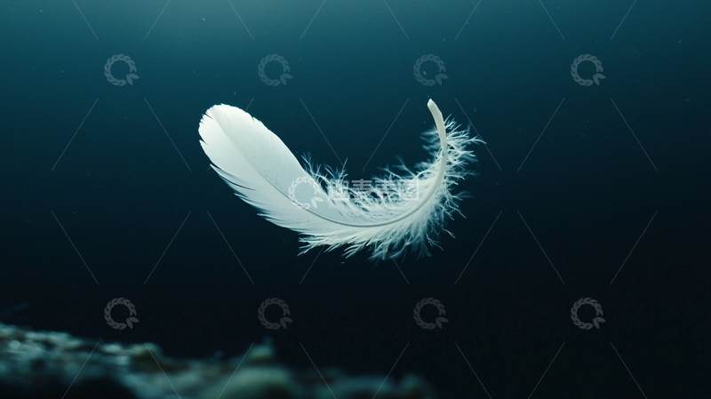 高清大图下载【趣麦麦图】飘落的白色羽毛