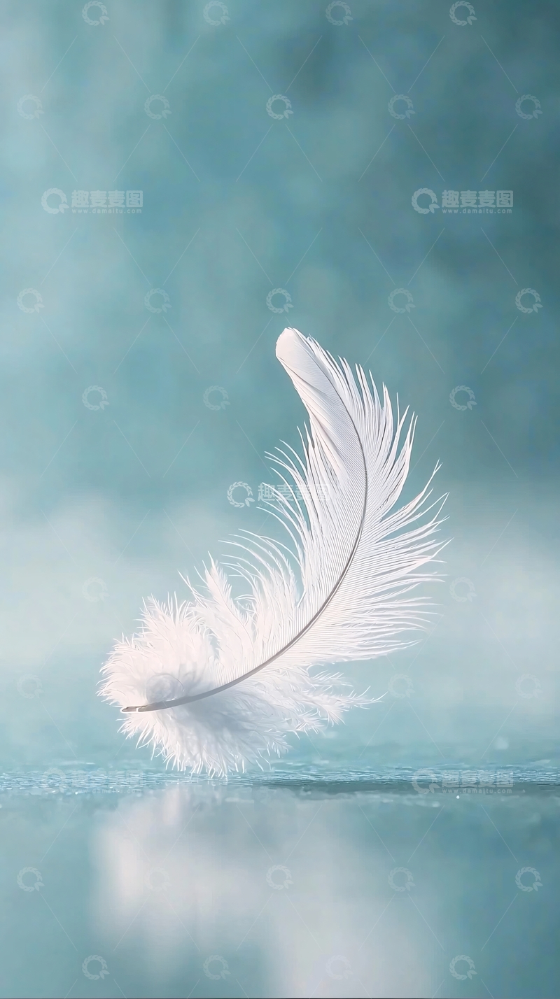 高清大图下载【趣麦麦图】轻柔的白色羽毛