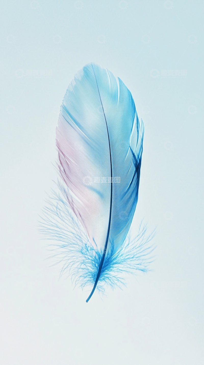 高清大图下载【趣麦麦图】轻柔梦幻的蓝色羽毛