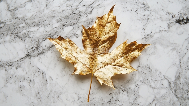 高清大图下载【趣麦麦图】金箔枫叶大理石背景