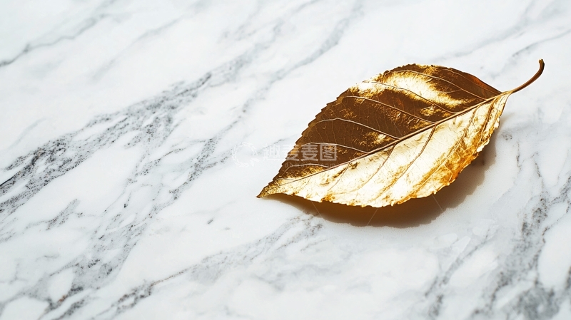 高清大图下载【趣麦麦图】金箔叶子
