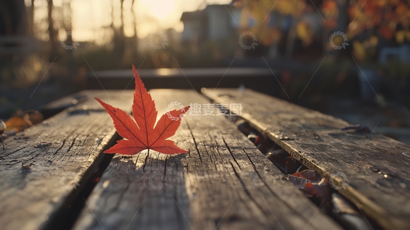 高清大图下载【趣麦麦图】秋日落叶木桌