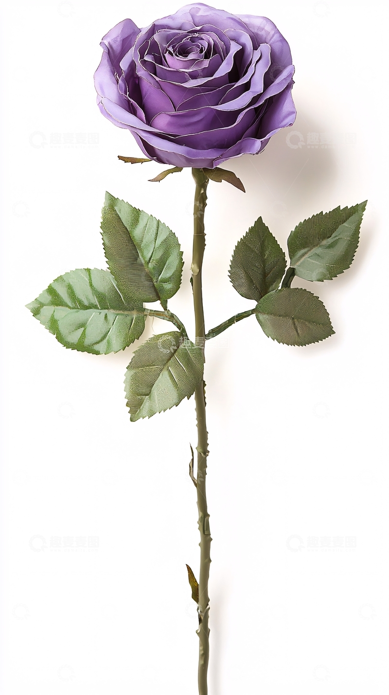 高清大图下载【趣麦麦图】单支薰衣草紫仿真玫瑰
