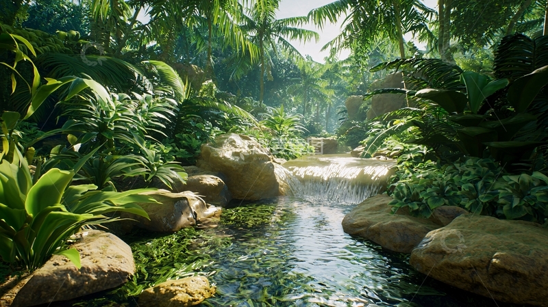 高清大图下载【趣麦麦图】热带雨林溪流