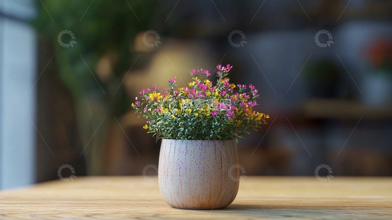 高清大图下载【趣麦麦图】小盆栽