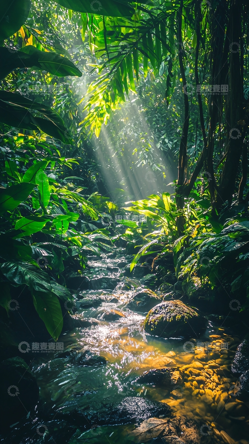高清大图下载【趣麦麦图】热带雨林溪流阳光