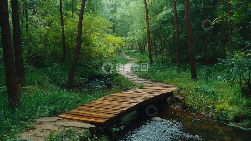 高清大图下载【趣麦麦图】森林小路木桥