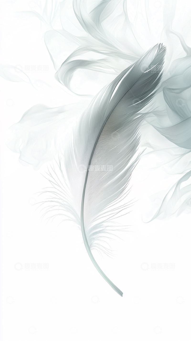 高清大图下载【趣麦麦图】轻柔飘逸的羽毛