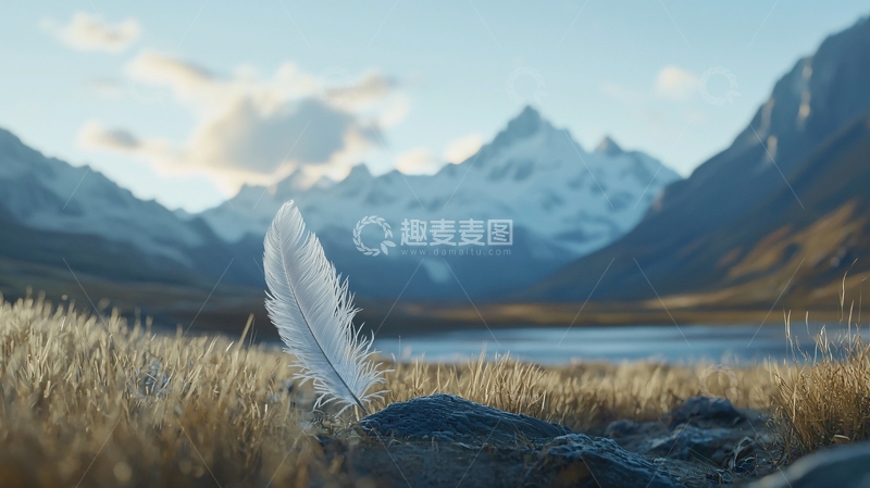 高清大图下载【趣麦麦图】雪山背景下的白色羽毛