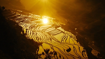 夕阳下的梯田景色
