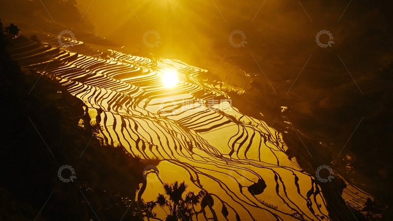 高清大图下载【趣麦麦图】夕阳下的梯田景色