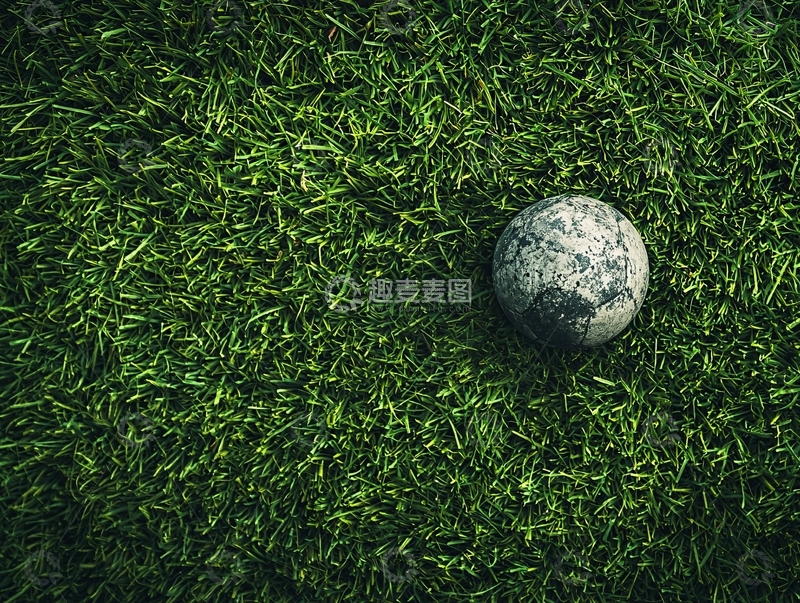高清大图下载【趣麦麦图】绿色草坪上的旧球