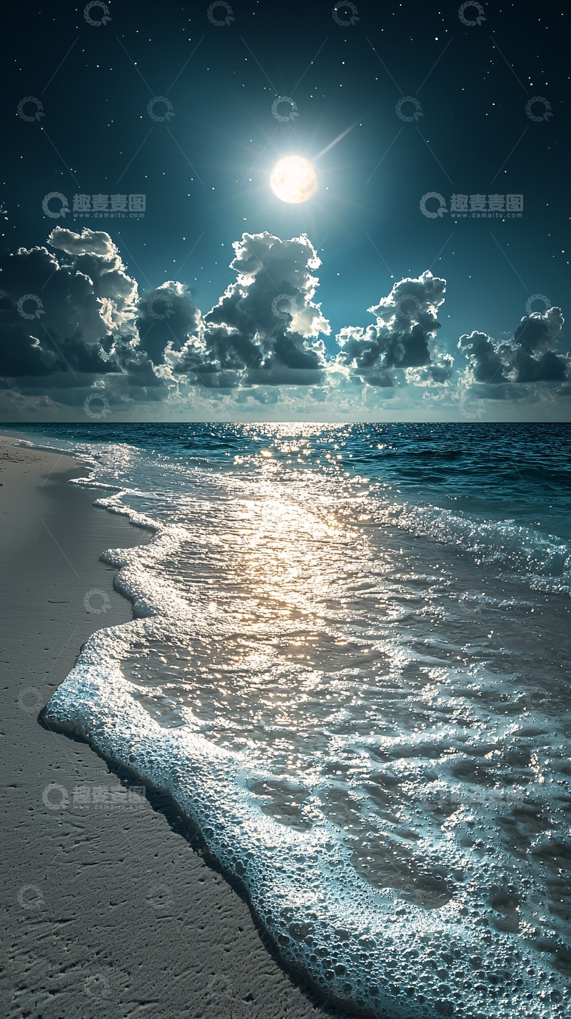 高清大图下载【趣麦麦图】月光下的海滩