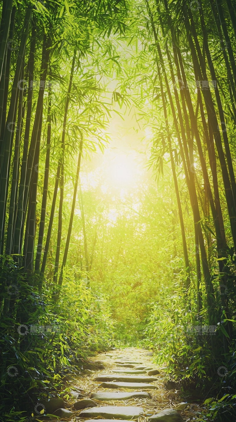 高清大图下载【趣麦麦图】阳光透过竹林小路