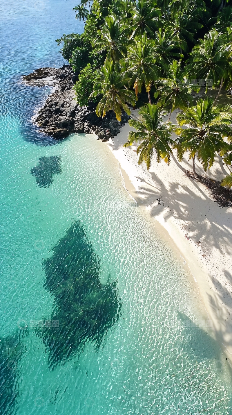 高清大图下载【趣麦麦图】热带海滩椰林沙滩
