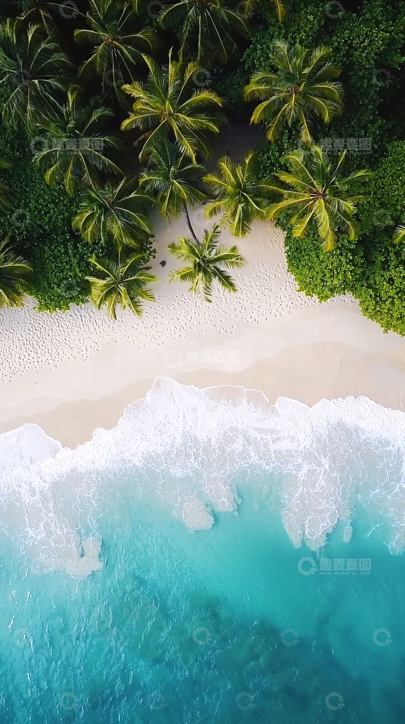 高清大图下载【趣麦麦图】热带海滩俯瞰图