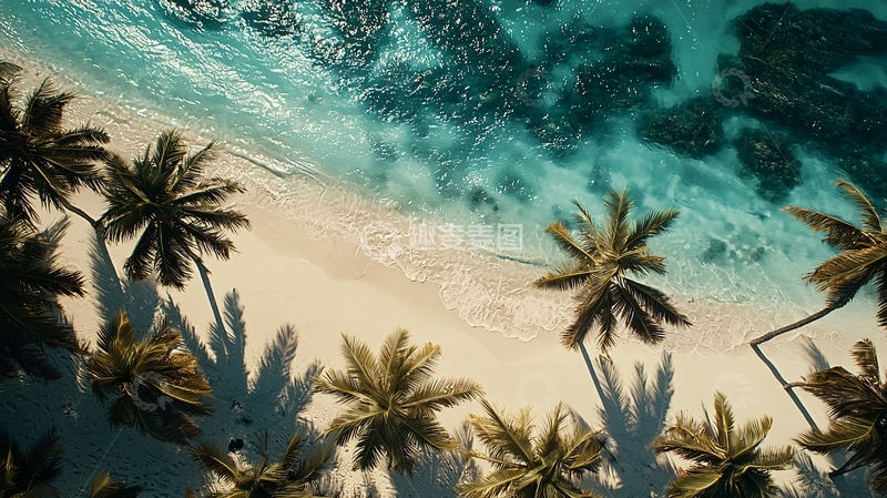 高清大图下载【趣麦麦图】俯瞰椰林海滩