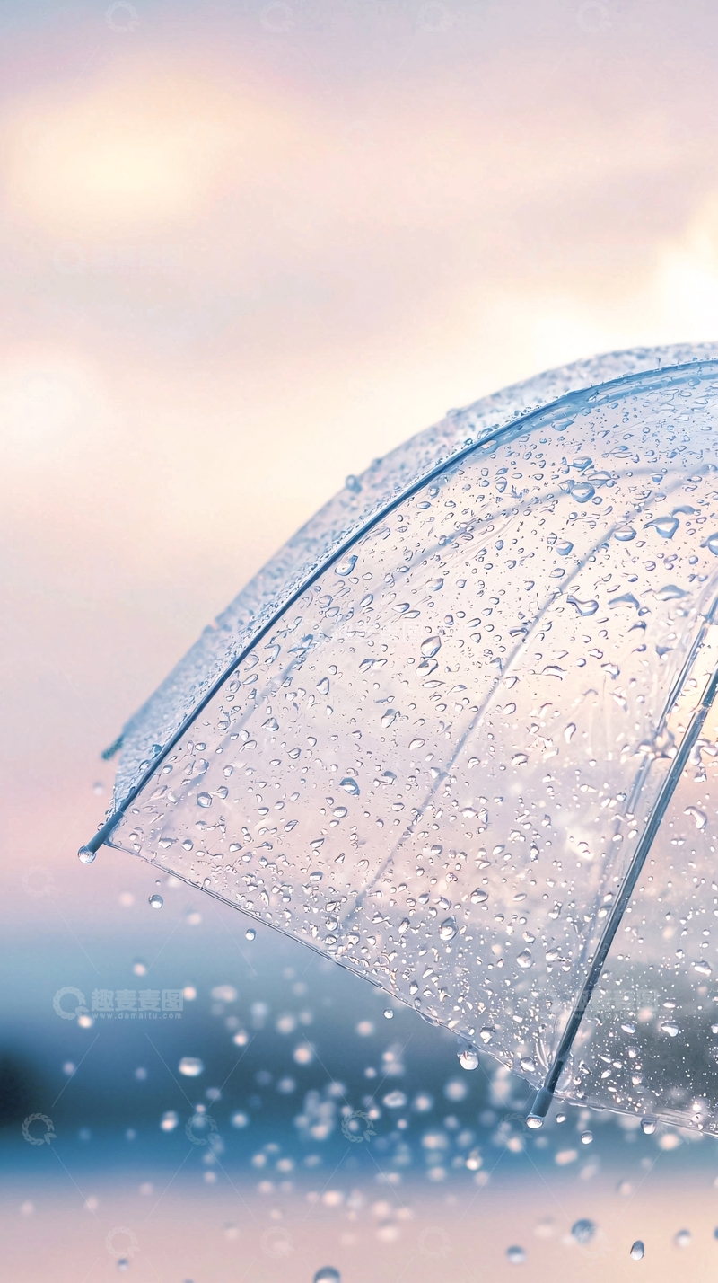 高清大图下载【趣麦麦图】透明雨伞