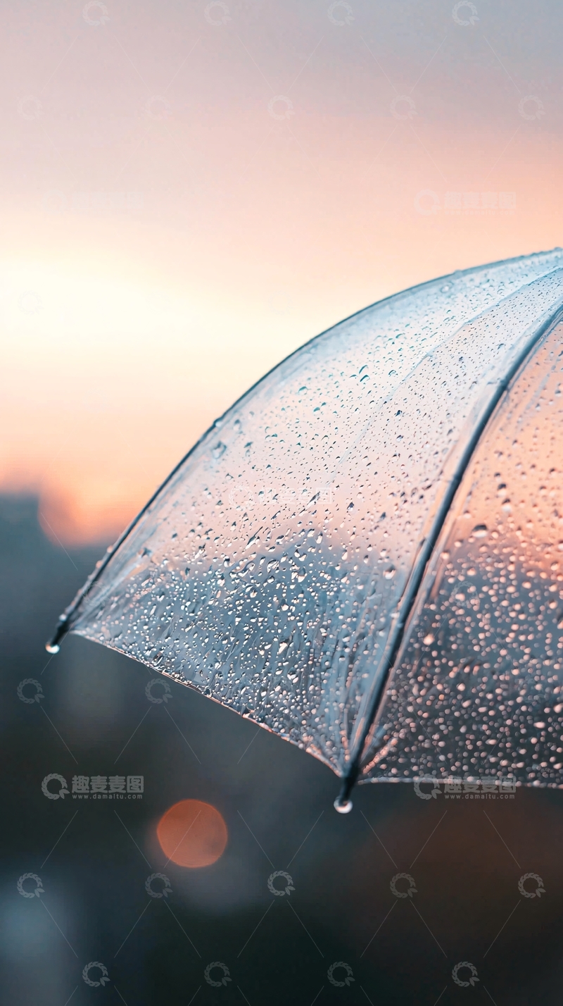 高清大图下载【趣麦麦图】雨后傍晚透明雨伞特写