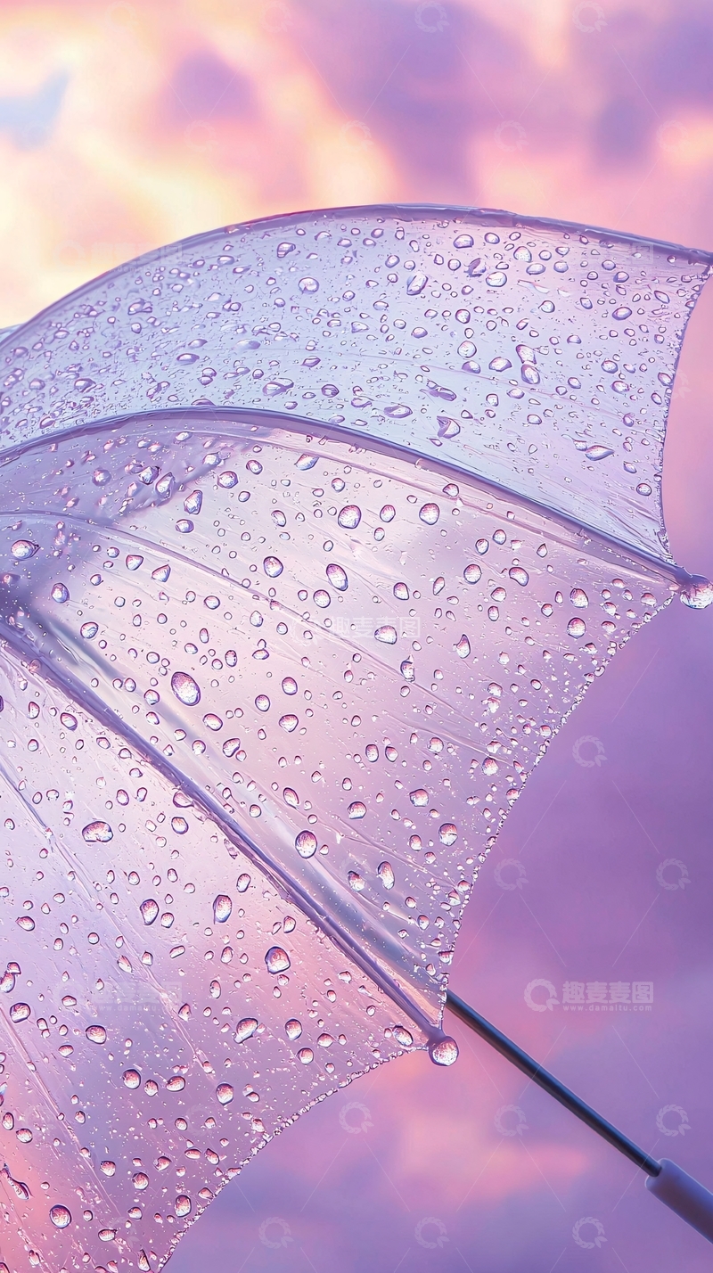 高清大图下载【趣麦麦图】透明雨伞