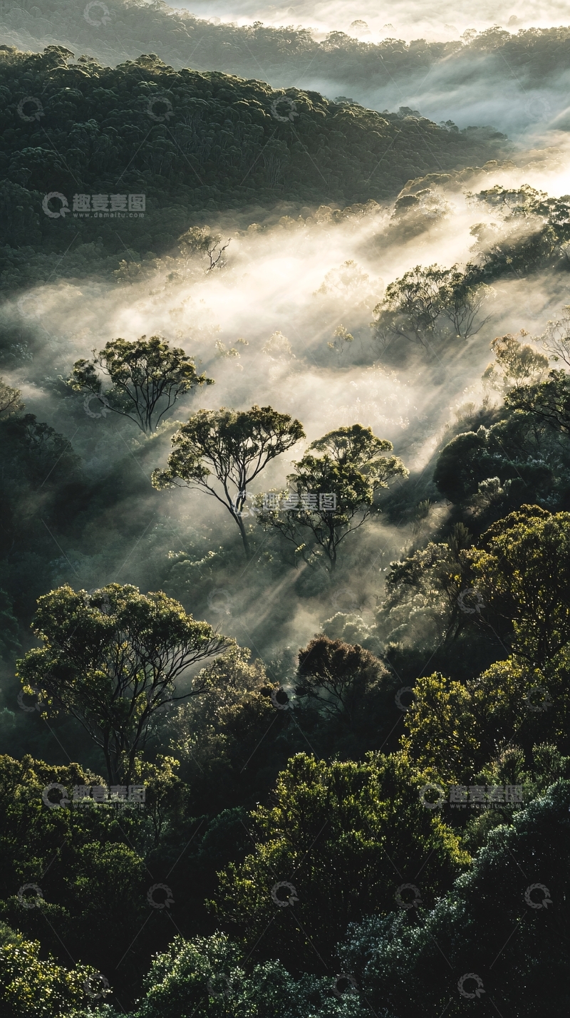 高清大图下载【趣麦麦图】山峦薄雾晨曦森林