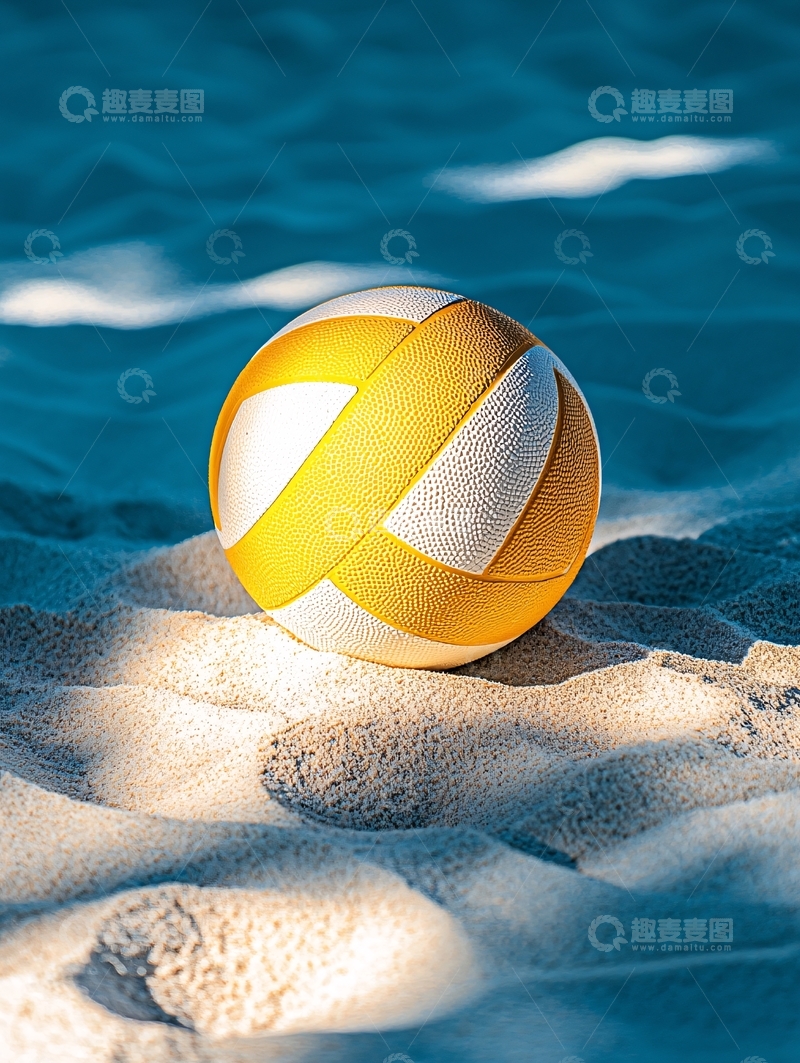 高清大图下载【趣麦麦图】沙滩排球