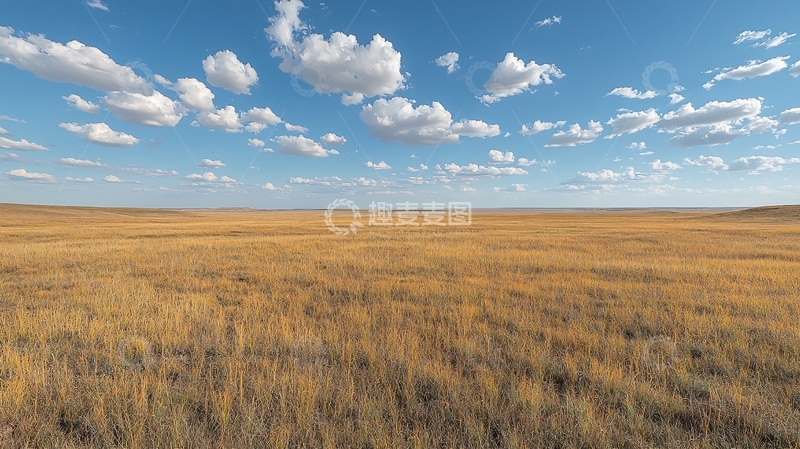 高清大图下载【趣麦麦图】晴朗天空下的金黄草原