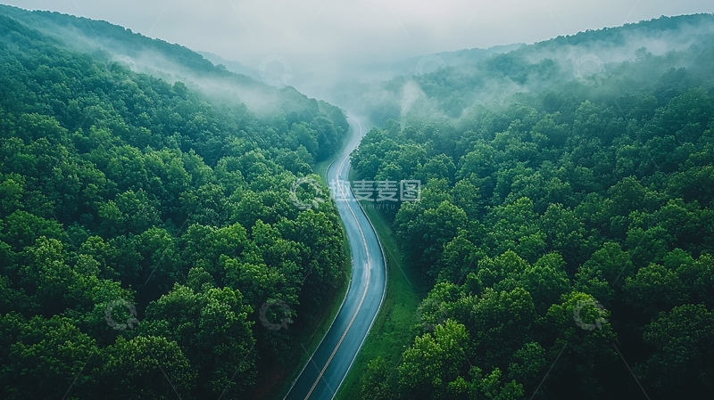 高清大图下载【趣麦麦图】雾中森林蜿蜒道路