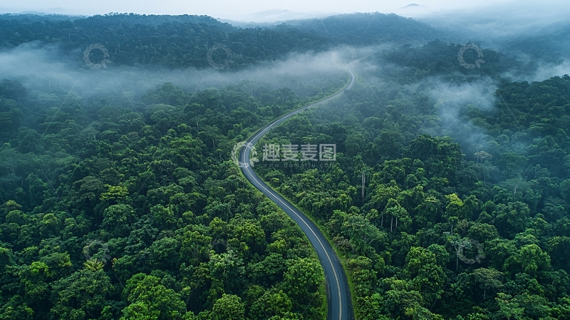 高清大图下载【趣麦麦图】森林中的蜿蜒道路